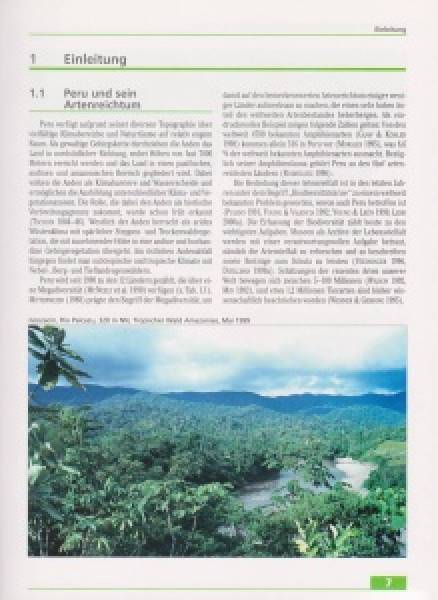 Amphibien und Reptilien in Peru